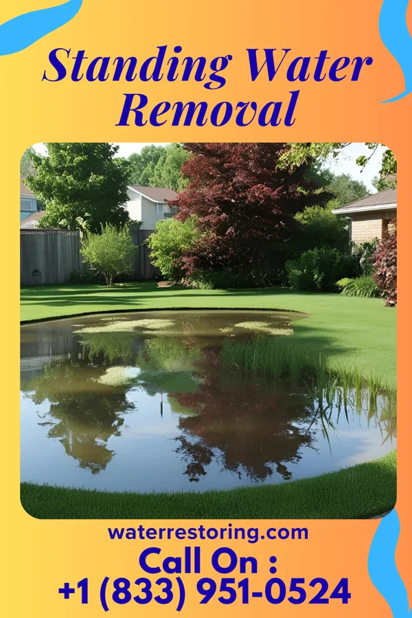 Standing Water Removal in Orono, MN